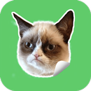 😹 Cats Stickers for Whatsapp - WAStickerApps 😼 APK