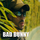 BAD BUNNY Lo Siento BB APK