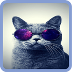 Cool Wallpapers HD ไอคอน