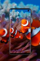 Coral Reef Wallpapers poster