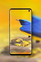 Cute Yellow Wallpapers اسکرین شاٹ 2