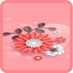 Beauty Flower Wallpapers HD 2020