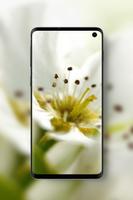 Best White Wallpapers HD screenshot 2