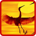 Bird Wallpapers