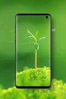 Poster Green Wallpapers HD