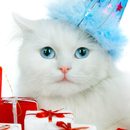 Christmas Dog and Cat Themes APK