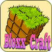 ”Bloxx Craft Girl