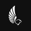UAE Drones APK