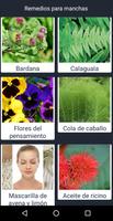 Remedios para las manchas de la cara poster