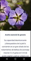 Remedios para las manchas de la cara screenshot 2