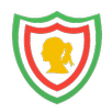 Mahsa VPN APK