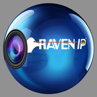 RAVEN IP ícone