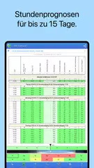UAV Forecast für Drohnen XAPK Herunterladen