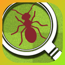 Tappy Ants APK