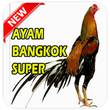 Tips Rahasia Ayam Bangkok Super-icoon