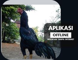 Tips Rahasia Ayam Bangkok Super تصوير الشاشة 3