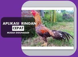 Tips Rahasia Ayam Bangkok Super ภาพหน้าจอ 2