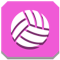 Amazing VolleyBall 3D