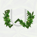 Ubr Wds APK