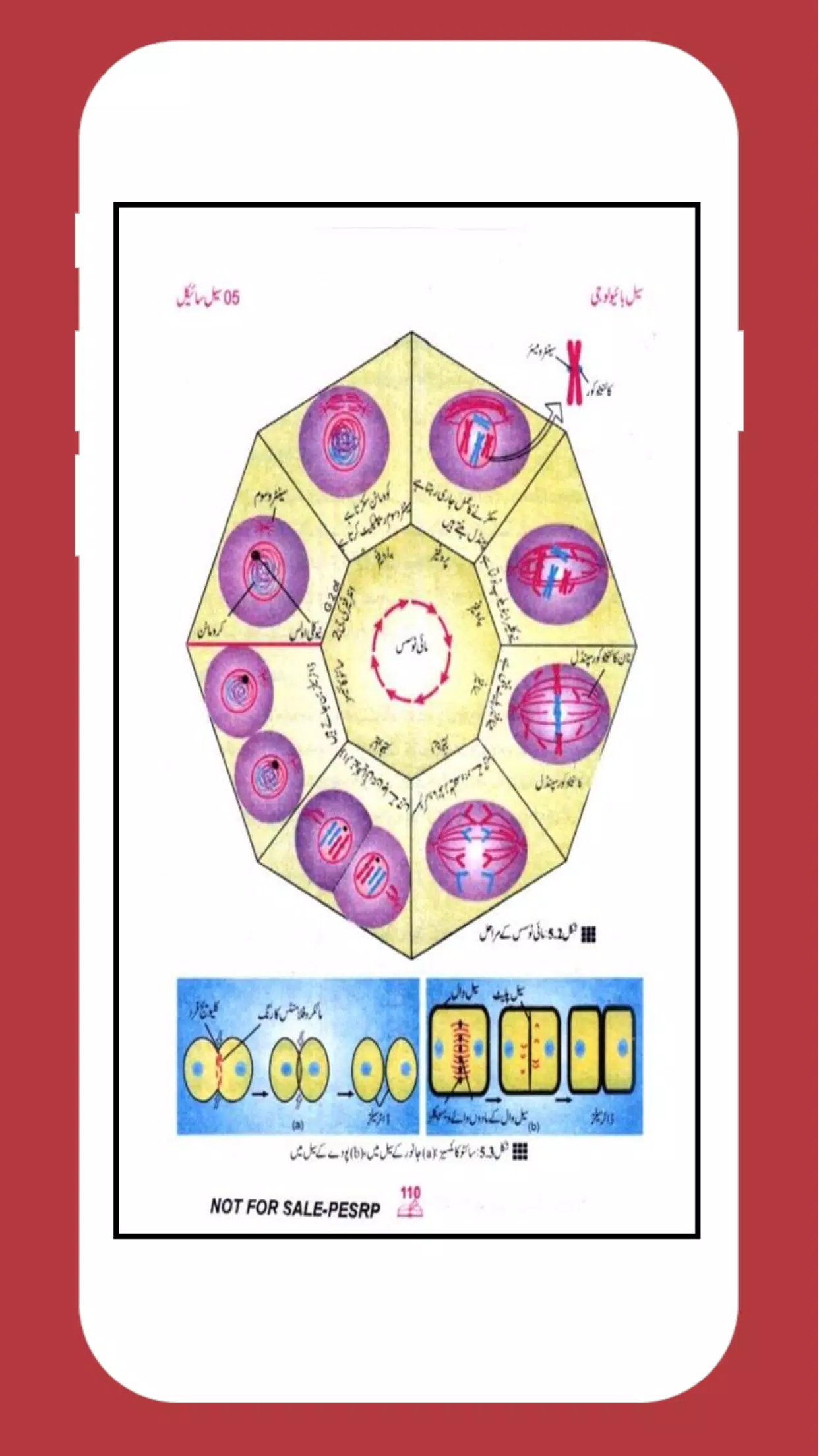 biology 9 urdu medium textbook offline for android apk download