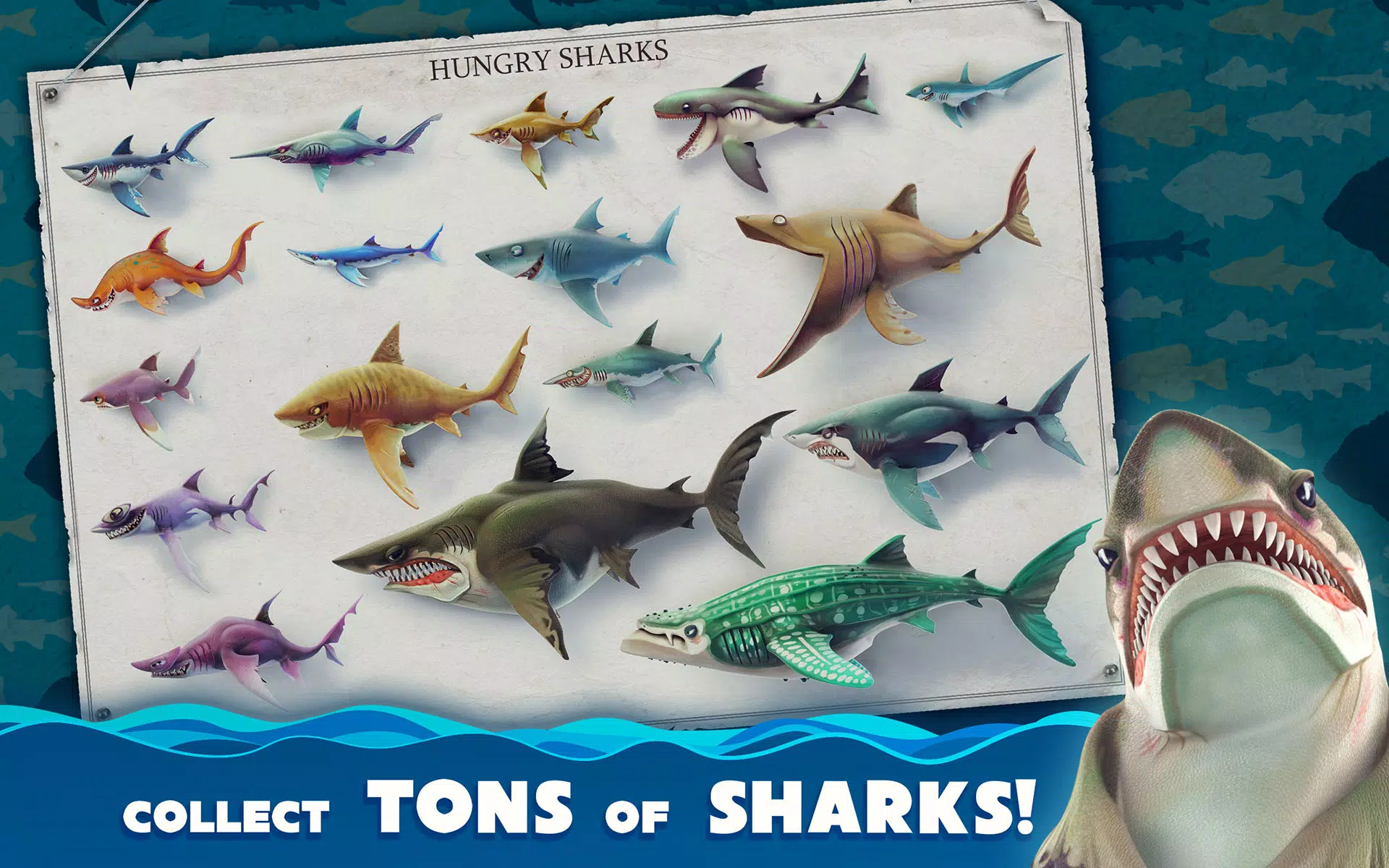 Hungry Shark Attack - Wild Shark Games 2019 - Download APK