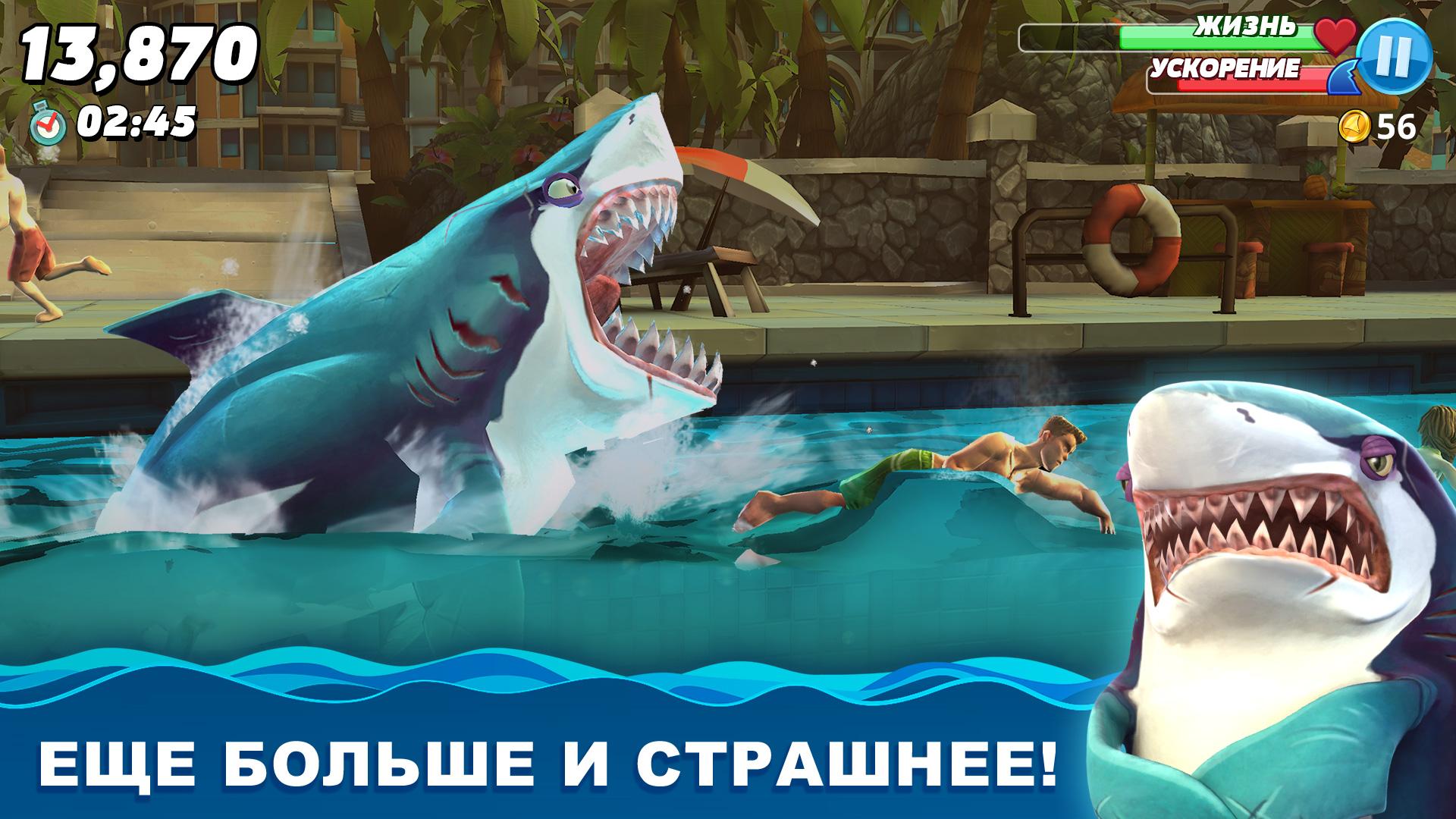 Скачать Hungry Shark APK Для Android
