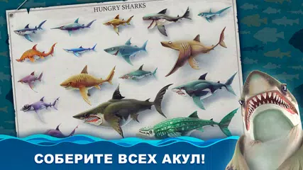 Скачать Hungry Shark World XAPK