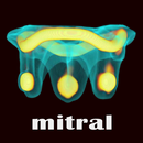 ViV Mitral APK