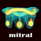 ViV Mitral icône