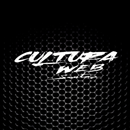 Rádio Cultura Web Santos APK