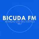 APK Rádio Bicuda FM
