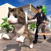 jeu errant chat simulateur 3d