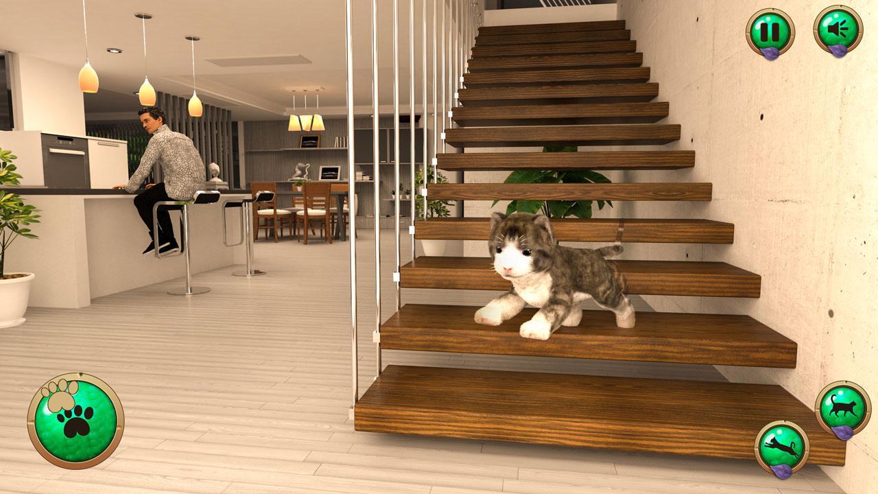 Старт петс отзывы. Виртуальный питомец. Симулятор бездомного кота. Ultimate Cat Simulator. Мои виртуальные питомцы.