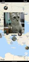 Cat Map gönderen
