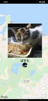 2 Schermata Cat Map