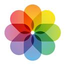 Solid Color Wallpaper Maker APK