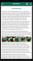 Batu Bacan Ekran Görüntüsü 1