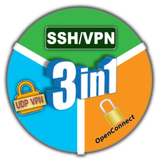 3in1 ViP VPN icône