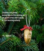Merry Christmas Cards Free poster