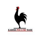 UFUGAJI WA KUKU KITAALAMU - Dr.Greyson Kahise.