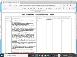 Risk Assessments 2021 captura de pantalla 2