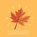 Kashmir News APK