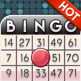 Bingo Infinity 图标