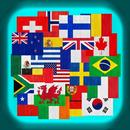 All Flags APK