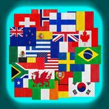 All Flags icon