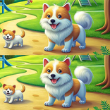 Find Differences Expert