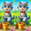 Find Differences