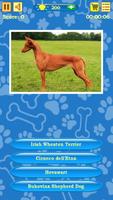 Dogs Quiz penulis hantaran