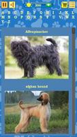 Dogs Quiz syot layar 3