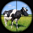 Jungle Cow Hunt : Cow Game